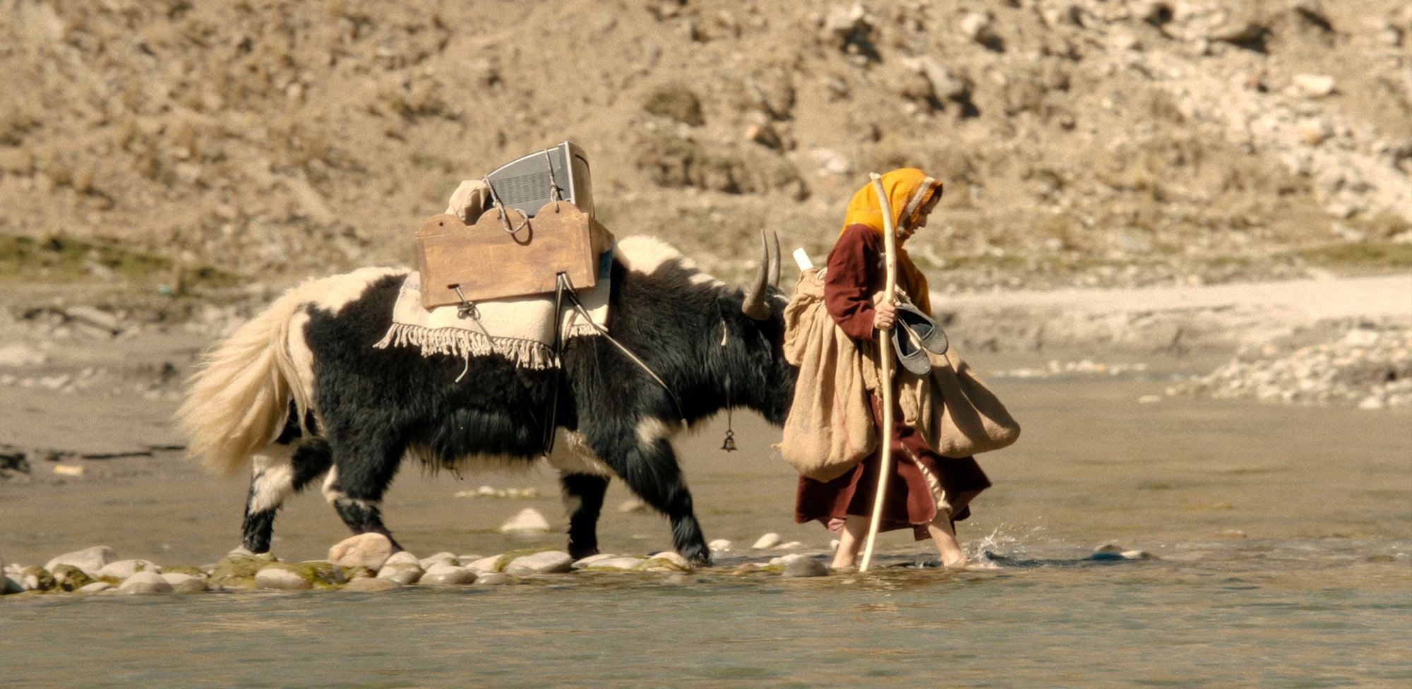 Hitching a Yak to Cinema: The Snowy Journey of 'White Snow'