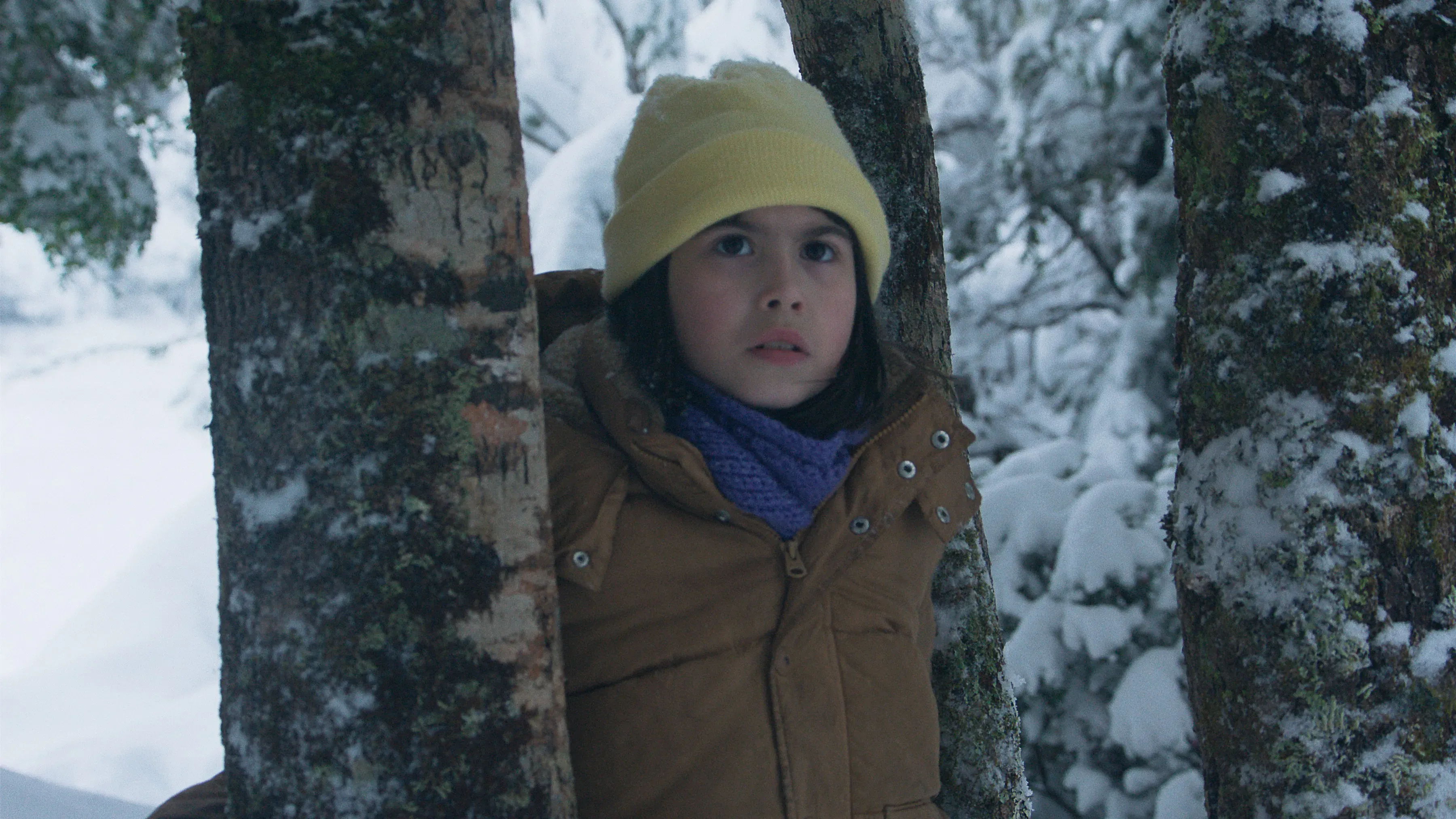 Chilly Mysteries: A Deep Dive into "The Meltdown"