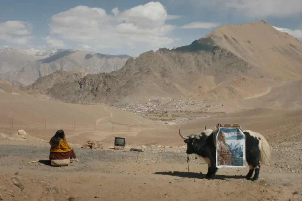Hitching a Yak to Cinema: The Snowy Journey of 'White Snow'