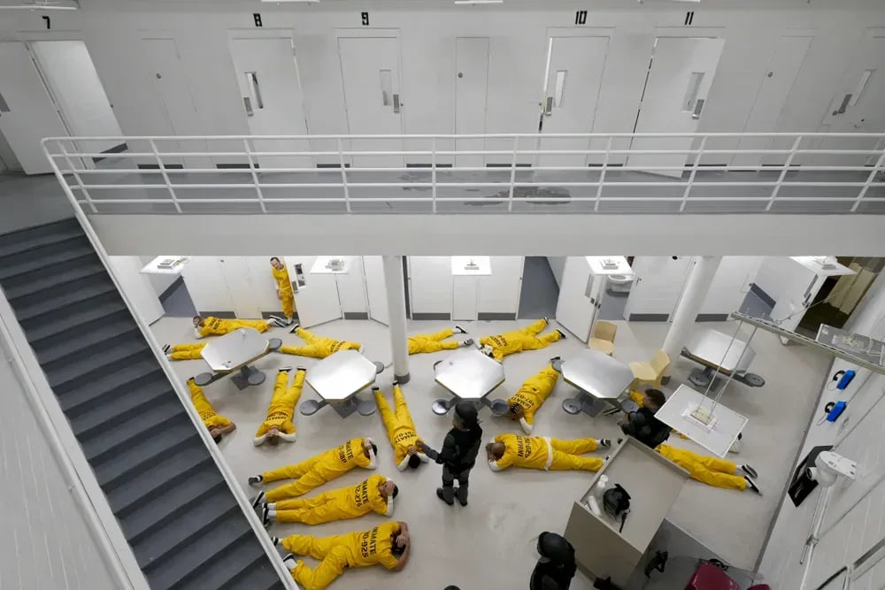 Prison Reality Goes Prime Time: The Ultimate Social Experiment