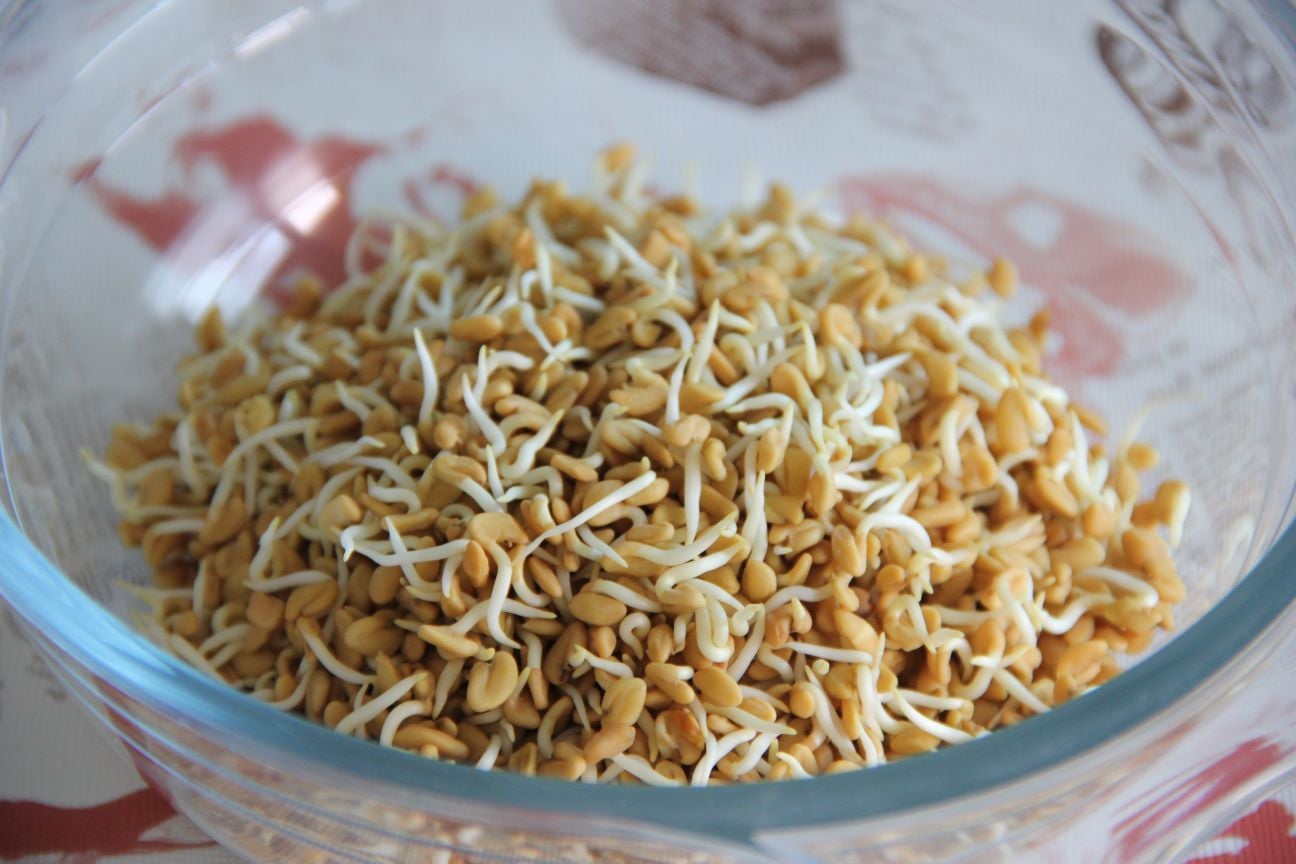 A Super Spice Unveil: Fenugreek's Role in Your Health