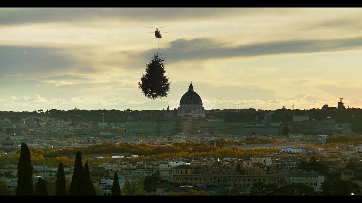 "Holy Wood Dust": An Unconventional Tree Love Story